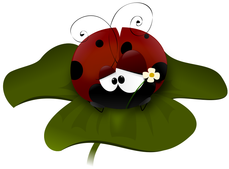 BUG