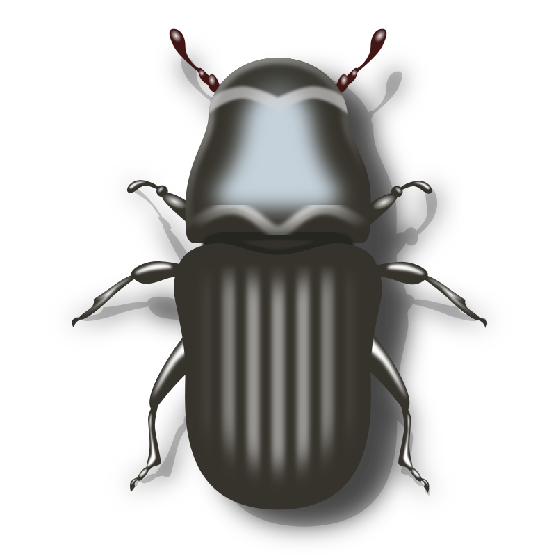 COCKROACH